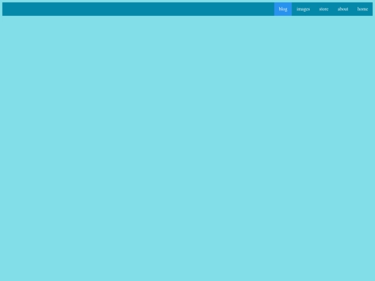 blog screenshot