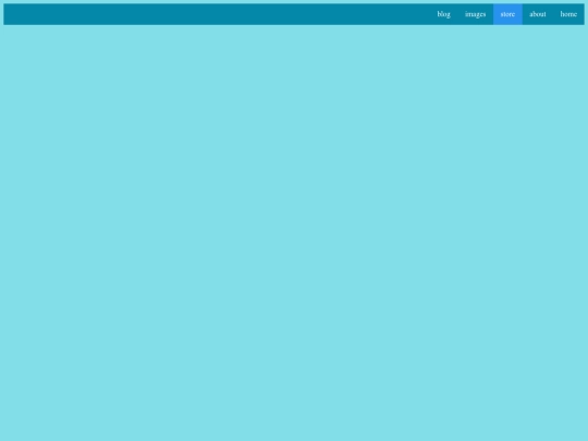 store screenshot