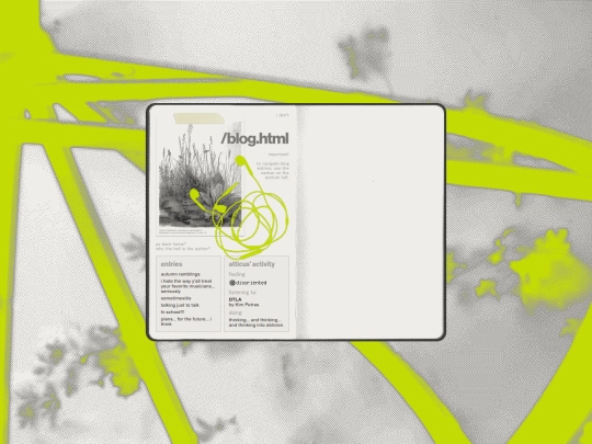 blog screenshot