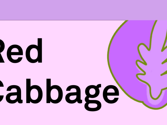 redcabbage screenshot