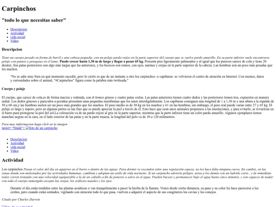 tp2 screenshot