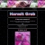 hermitcrab.neocities.org avatar