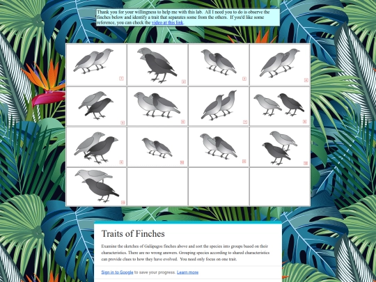 Finches_Observation screenshot