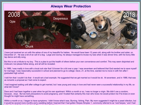 barrierprotection screenshot