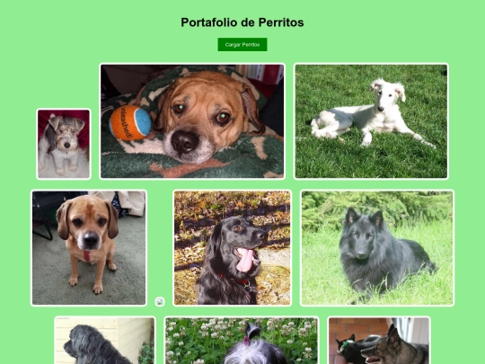 catalogo screenshot