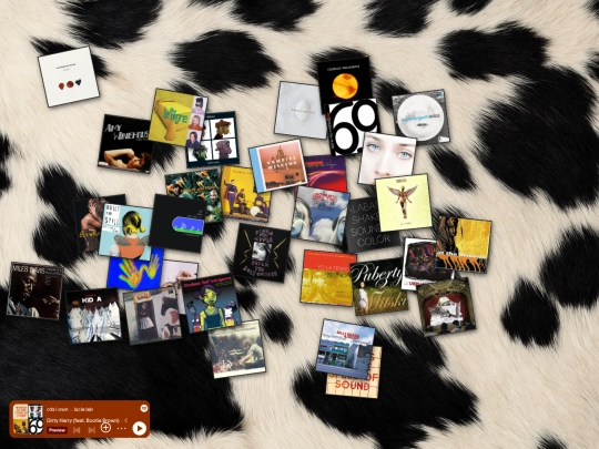 cdcollection screenshot