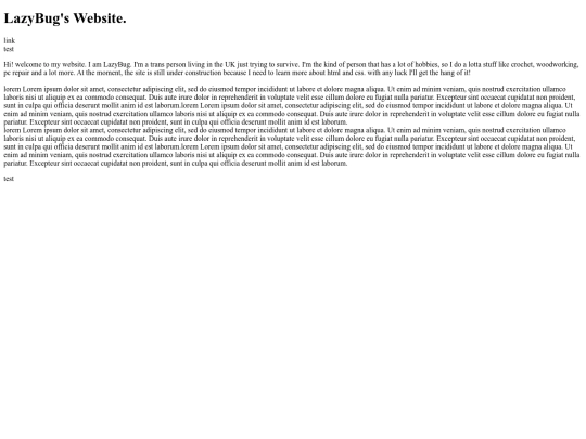 lazybug files/lazybug's website screenshot