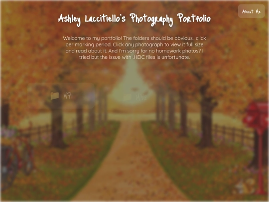 portfolio screenshot