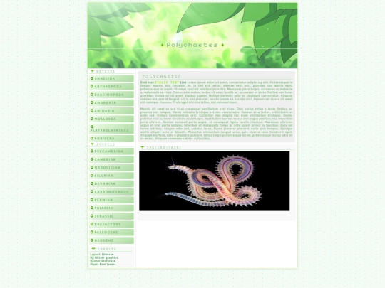 Photo Blog/Metazoa/Annelida/Polychaetes screenshot