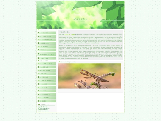 Photo Blog/Metazoa/Arthropoda/Insecta screenshot