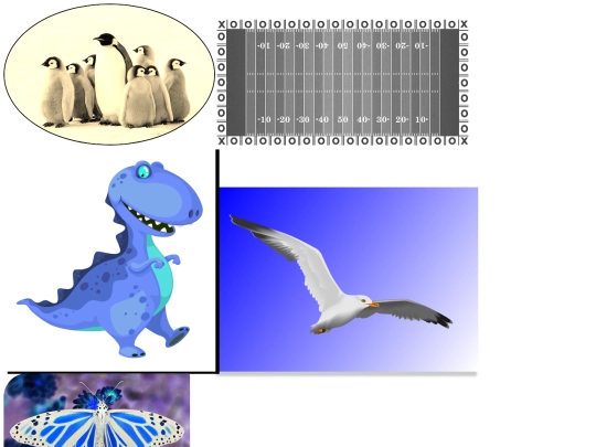 imitationassignment/imitationassignment screenshot