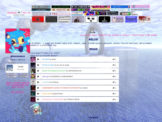 webmaster screenshot