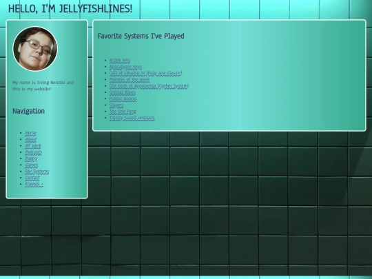 favsystems screenshot