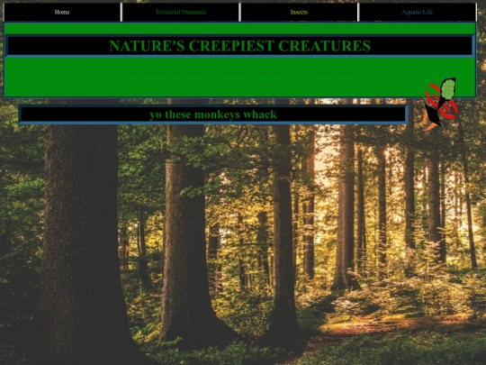 page1 screenshot