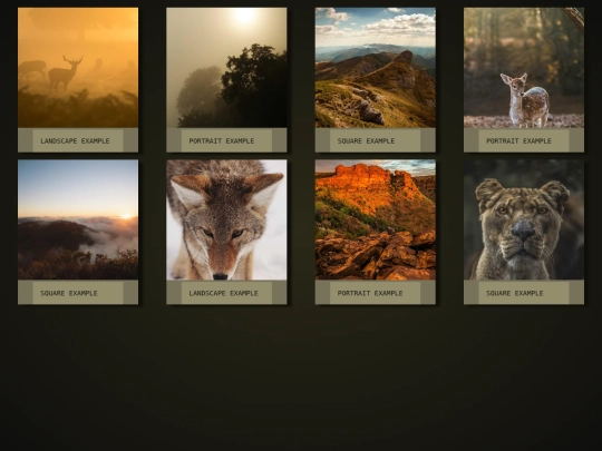 code/aurochs screenshot