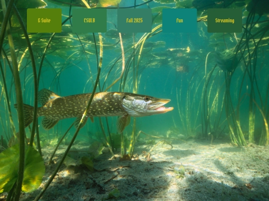 homepage screenshot