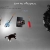 Into the Niteosphere avatar