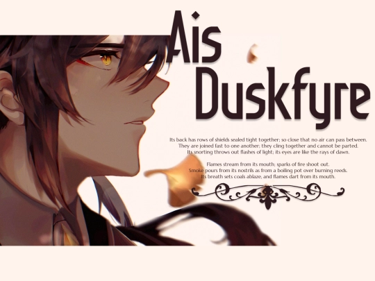 Ais 2/desc screenshot