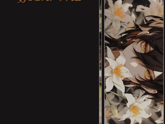 Ais/desc screenshot