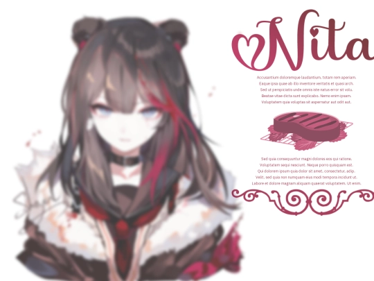 Nita/desc screenshot