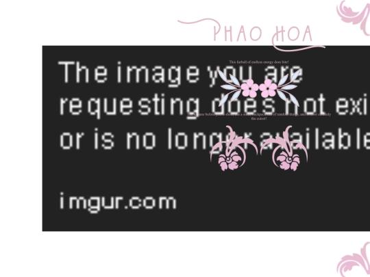 Phao Hoa 2/desc screenshot