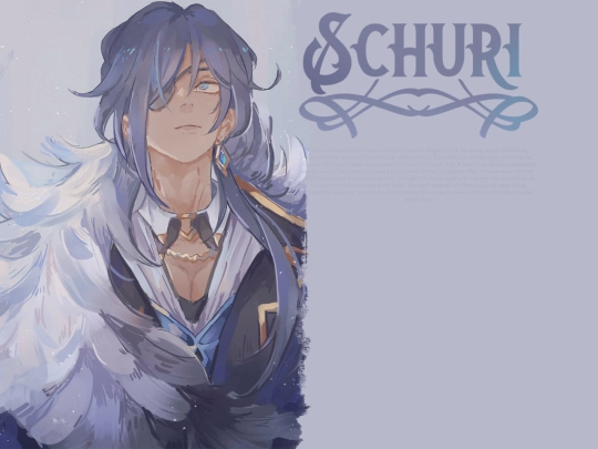 Schuri/desc screenshot