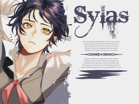 Sylas/desc screenshot