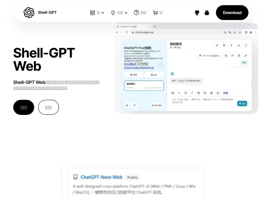 web screenshot
