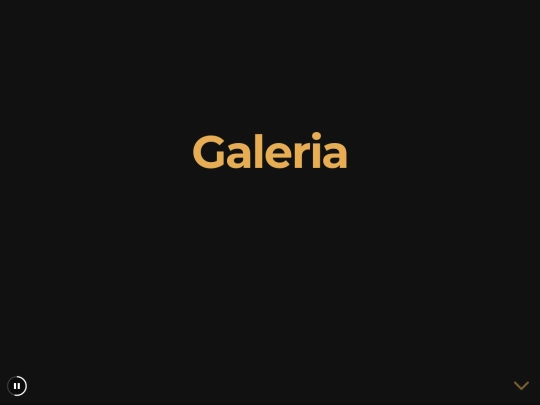 reveal/h_galeria screenshot