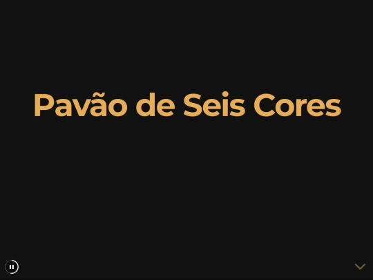 reveal/h_pavao screenshot