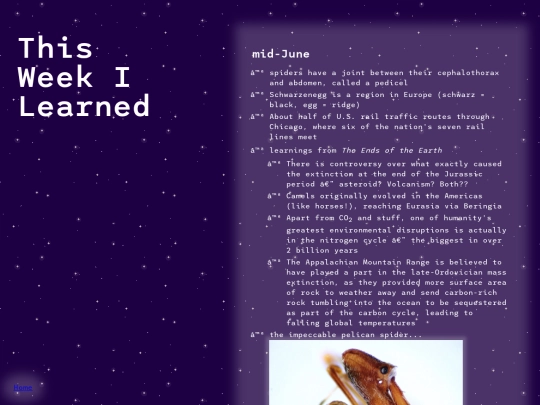 thestudy/twil screenshot