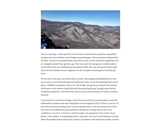 zonelet/posts/2021-02-14-Mr.-M screenshot