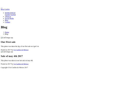blog-home-1-ingles screenshot
