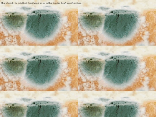 Mold screenshot