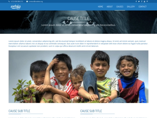 site2/causes-single screenshot