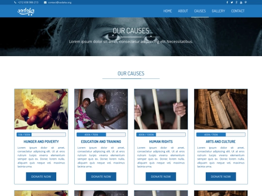 site2/causes screenshot