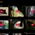 shloppytube.neocities.org avatar