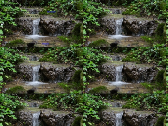 homepage screenshot