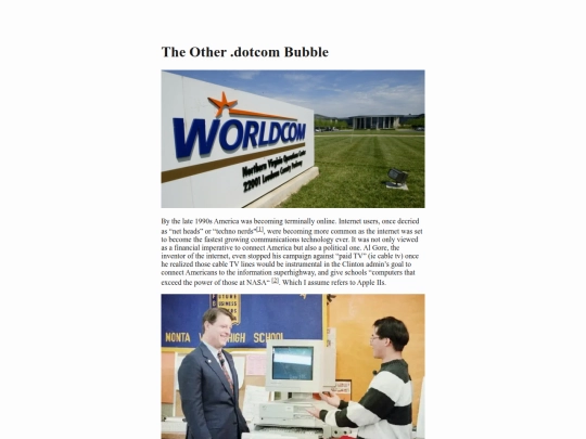 archive/the_other_dotcom_bubble/the_other_dotcom_bubble screenshot