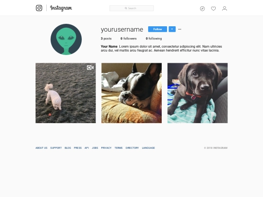 codes/instagram screenshot