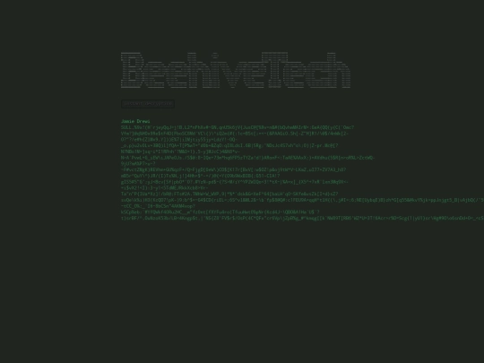 cv/terminal-jamie screenshot