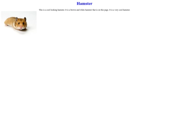 my+website/myfirstwebpage screenshot