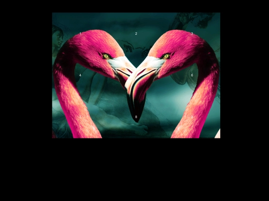 godispinkflamingos/godispinkflamingos screenshot