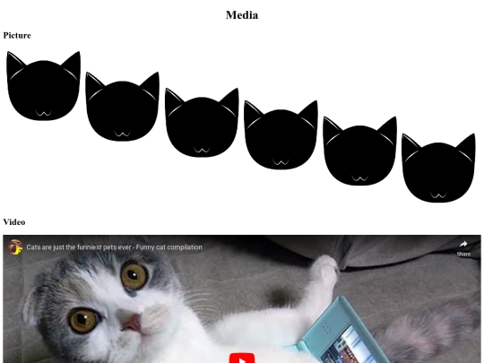 mod02/op03/media-responsive screenshot