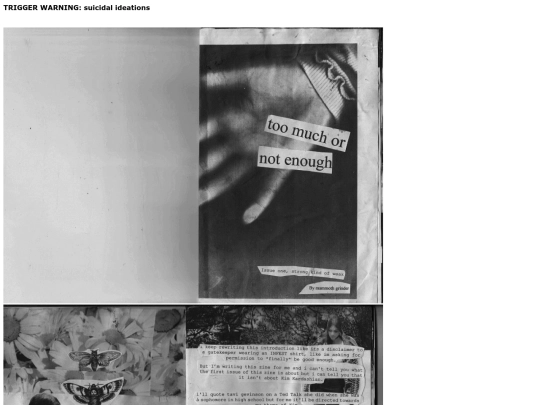 zines/toomuchnotenough screenshot
