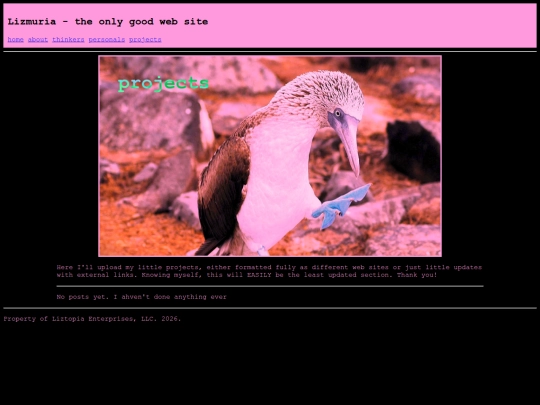 projects screenshot