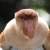 monkeysr2cool4u's avatar