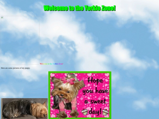 yorkie screenshot