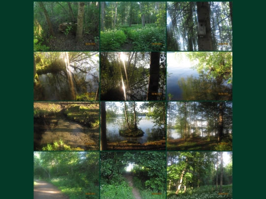 green screenshot