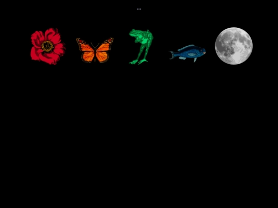 home screenshot
